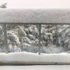 大雪の画像