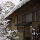 今年も雪の金閣寺を見ることが叶いました。の記事より