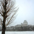 雪の姫路城の記事より