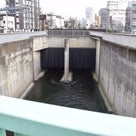 神田川下り　その３　横向き下水君の記事より