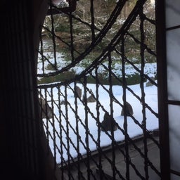 画像 雪の光明院（京都市東山区）は素敵でした の記事より 4つ目