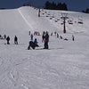 スキー日和♪の画像