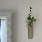 インテリア壁掛け仏壇と季節のお花（エンドウ）の記事より