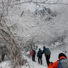 山ガール～　奈良　明神平の画像