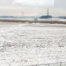 ■白銀の国土を眺めて珍しい雪の光州を見てきました！´ヮ`)/の記事より