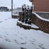 和歌山、雪。の画像