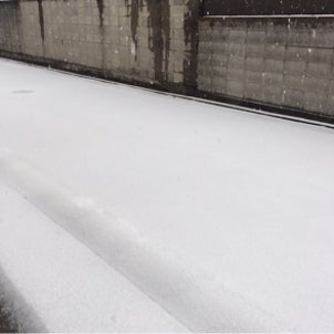 2017/01/24の画像
