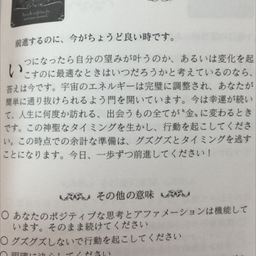 IMG_5567.PNG
