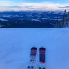 カナダでスキーの画像