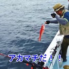 1月7日慶良間船釣り[驚愕のアカマチ爆釣り！！！！]比嘉さま御一行♪の記事より
