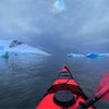 南極でカヤックの画像