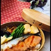 ✯お弁当✯  鮭弁当の画像