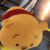 ブログ投稿画像