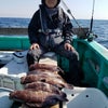 2月16日マハタ釣り専門結果速報の画像