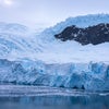 ネコハーバー 南極の画像