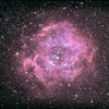 冬の夜空に咲くバラ星雲の画像