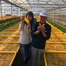 茨城県ひたちなか市へ。安富生さんの「ほしいもや」で干し芋作り体験の記事より