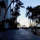 Fort Street Mall Farmers' Market【Downtown, Oahu】の記事より