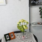 インテリア壁掛け仏壇と季節のお花（ナノハナ／菜の花）の記事より