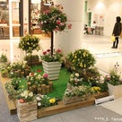 さいたまの花文化展示会・花育体験 ＜ららぽーと富士見＞の記事より
