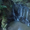 静岡県 雨上がりの滝は……の画像