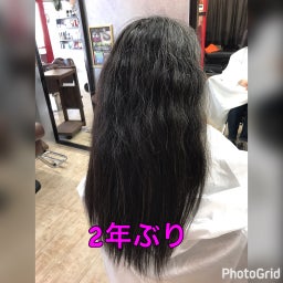 画像 美髪暴走集会 の記事より 2つ目
