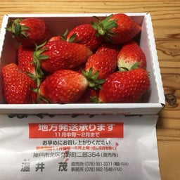 画像 美味しいイチゴが続きます の記事より 3つ目