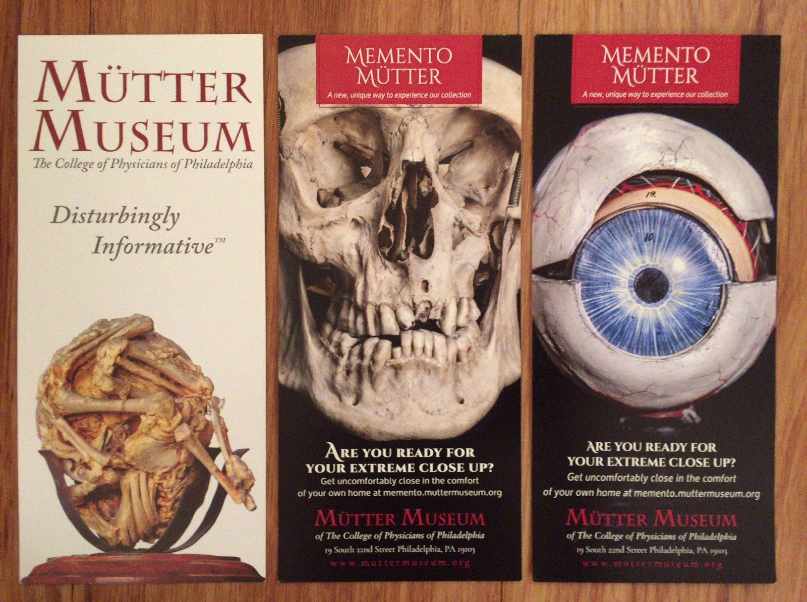 24-9-16『The Muetter 刺々し Museum: Of the College of 24-9-16『The Muetter 刺々し Museum: Of the College of
