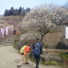 埼玉県の宝登山へ行ってきました。２０１７年３月１２日の記事より