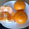 せとか　柑橘系の ウ タの画像
