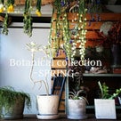 【Botanical collection】 -SPRING-の記事より