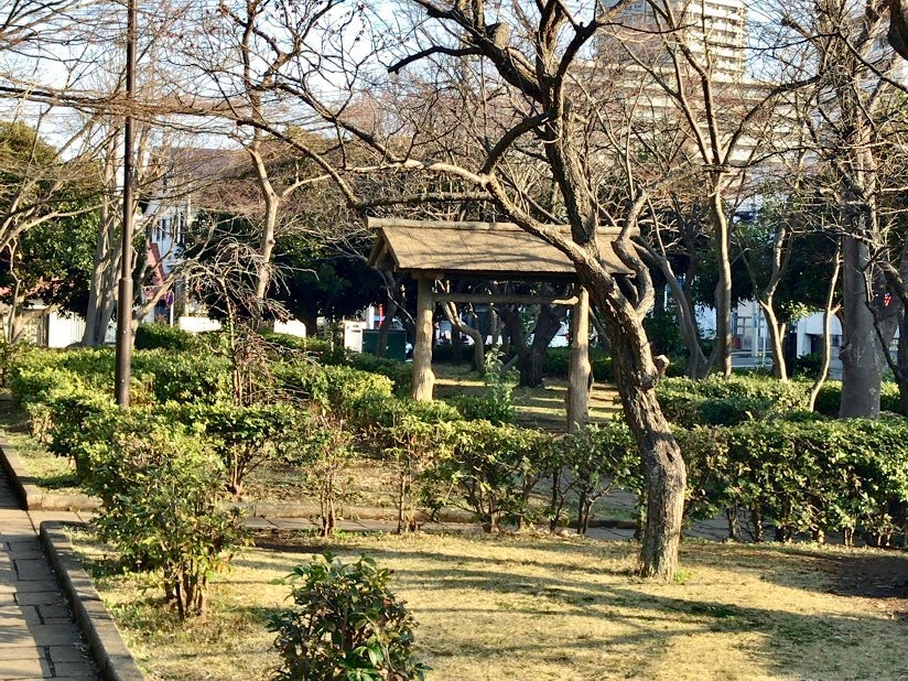 湘南台の「円行公園」で梅林と竹林を発見！の記事より