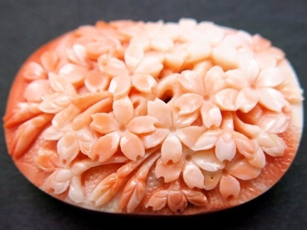 □本珊瑚の帯留2017｜桜満開！希少な本珊瑚に大変見事な満開の桜の花を