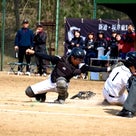 新潟県センバツ学童野球大会②の記事より