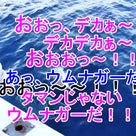 3月4日慶良間船釣り[ナガイユ,ムルー入食い,ジセイ続々と！！]宮城さま御一行♪の記事より