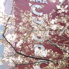 おうちギャラリーに桜が咲いてますの記事より