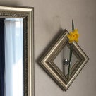 インテリア壁掛け仏壇と季節のお花（黄色のスイセン／水仙）…その２の記事より