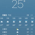 Vacation in Thailand 3th day【雨のPATTAYA T_T】の記事より