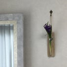 インテリア壁掛け仏壇と季節のお花（ヒヤシンス／風信子…紫）の記事より