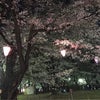 桜★の画像