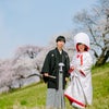 前撮りロケーション・桜並木で和装の画像