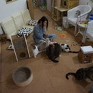 4/11 毎日が春日和♪ 北海道の女性ユニット「またたび」さん『ご主人様は猫である。』MV公開♪の記事より