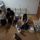 4/11 毎日が春日和♪ 北海道の女性ユニット「またたび」さん『ご主人様は猫である。』MV公開♪の記事より