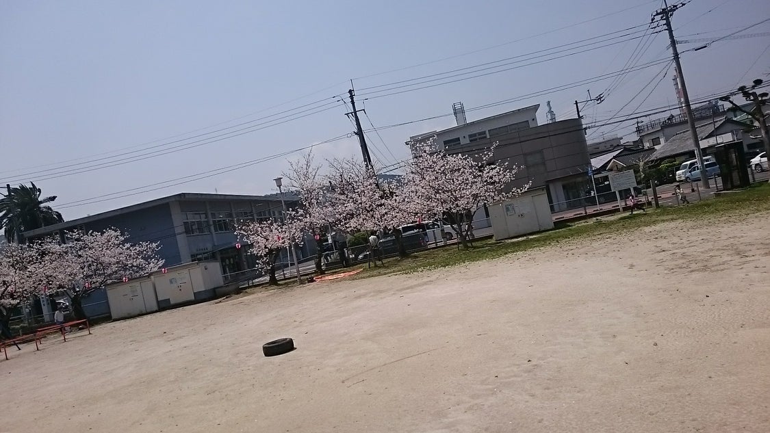 桜咲いたけど雨続き　（写真追加しました）の記事より