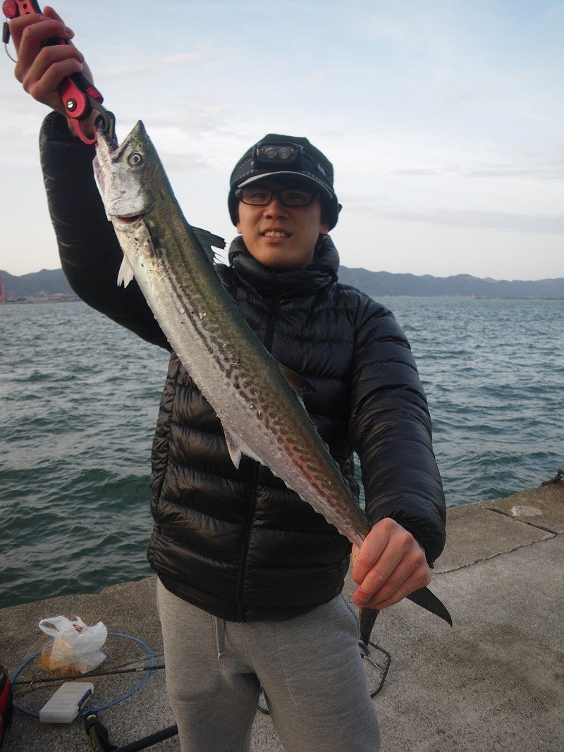 サゴシと銀鮭が釣れました 境港 米子のアングル境港店 釣具 つり具 日本海 サゴシと銀鮭が釣れました 境港 米子のアングル境港店 釣具 つり具 日本海