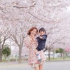 桜、菜の花、咲き乱れ写真の画像
