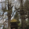 五日市散策スポット(広徳寺)の画像