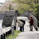 新川護岸清掃活動１０８ ＆ 江戸楽遊にわカフェの記事より