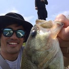 The other day "FISHING"の記事より