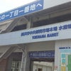 横浜中央卸売市場 de ランチの画像